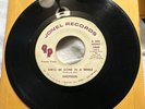 LONESOME CASH-a-LIKE Rockabilly Country Bopper 45 SHOTGUN She’ll Be Gone HEAR