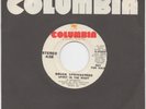 BRUCE SPRINGSTEEN Spirit In The Night VERY RARE WLP PROMO COLUMBIA 45