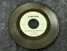 Quests - What Can I Do / Shadows In The Night  FENTON MICHIGAN GARAGE 45 PSYCH