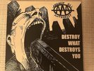 Against All Authority Destroy What Destroys You LP Signed Vinyl Punk Ska