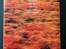 KENNY WHEELER Gnu High; Orig. 1976 LP SEALED Mint; ECM 1069; Keith Jarrett; Jazz