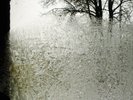 BON IVER - For Emma Forever Ago LP New SEALED vinyl