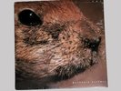 Butthole SURFERS - Pepper (10” Vinyl Single, Capitol Records, 1996) SEALED