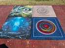 Pendulum In Silico, Immersion, Hold Your Colour and Reworks- mint condition  LPs