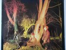 ECHO AND THE BUNNYMEN CROCODILES 1980 LP RECORD ALBUM 1 K 58175, Vinyl Is EX+