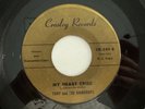 RARE Doo Wop 45 - Tony & The Raindrops 