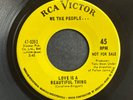 We The People, Love Is A Beautiful Thing / The Day She Dies, 7