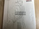 Gastr Del Sol/Camoufleur DC133 Used LP