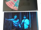 Royal Blood LP Typhoons  Deluxe Ltd Pink/Black Split Vinyl & Signed Art Card