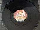 Led Zeppelin –The Song Remains The Same Double 12” Vinyl LP Booklet. First Press