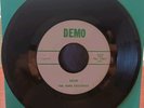 THE MERE EXSISTENCE-GARAGE ROCK 45RPM