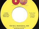 Marvin Gaye - You're A Wonderful One, 7