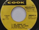 John Buddy Williams Band 