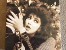 Kate Bush – Remastered In Vinyl I Four Album Box Set Opened Unplayed New