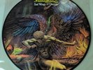 Judas Priest Sad Wings of Destiny Vinyl LP Picture Disc 1983 RARE Made in France