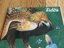 Fields 1971 Self-Titled Original Uk Import Prog Gatefold CBS LP With Poster VG+