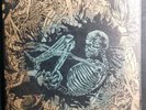 1st Press Ceschi Pat The Bunny Split  LP VINYL 2016 Record Ramshackle Glory