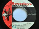 The GAYLADS 45 Theres a Fire  Last Time BEVERLEYS Reggae VG++  #3955