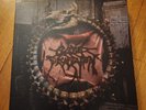 Cattle Decapitation Decade of Decapitation complete rare death metal grind heavy