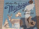 Sufjan Stevens Michigan State blue third man records rare edition