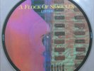 A Flock Of Seagulls – Listen Limited Edition LP Picture Disc Jive HIP X 4  MINT-