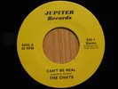 The Chats Punk Rock KBD 45 Cant Be Real bw Do The Pogo on Jupiter