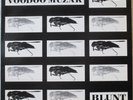 VOODOO MUZAK Blunt LP French Noise/Rock/Experimental