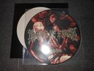 CRADLE OF FILTH LP VAMPIRE RARE 2003 PICTURE DISC FIRST PRESS NM DIMMU BORGIR