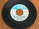 Ron Gray - Hold Back the Sunrise / the Shake 45 Record 1966 Hanna Barbera #488