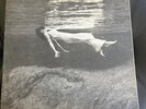 BILL EVANS / JIM HALL - UNDERCURRENT 1962 1ST PRESS Record UAJ 14003