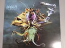 Ween - The Mollusk (Record, 2016) Green Marbled Plain Recordings