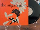 The Sugarcubes Birthday LP Maxi Single UK 1987 One Little Indian 12tp7 UK