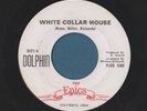 1966 THE EPICS White Collar House 45 DOLPHIN Promo COLUMBUS OHIO Garage Rock