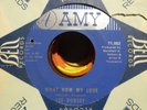 LEE DORSEY A LOVER WAS BORN & WHAT NOW MY LOVE  SOUL. AMY   45