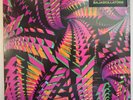 Bitchin' Bajas Bajascillators LP Album vinyl record double LP 2022 US Import