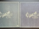 Radical Face - The Family Tree: The Leaves & The Branches - RARE Vinyl 2xLP Lot