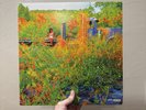 Jhene Aiko Trip Vinyl urban outfiturban outfitters exclusive