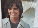 Ned Doheny - Self Titled - 1973 Asylum SD-5059 LP Vinyl Tested Record Excellent