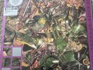 The Stone Roses - So Young / Tell Me Limited Edition Raspberry 12