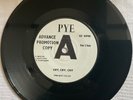 THE RIOT SQUAD - ‘CRY CRY CRY’ / ‘HOW IT IS DONE’ RARE DEMO COPY 1966 JOE MEEK