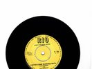 SKA/REGGAE-PIONEERS-NEVER COME RUNNING BACK/GIVE UP-RIO 106
