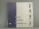 DEEP PUDDLE DYNAMICS The Taste of Rain 2xLP BLUE VINYL Record ALBUM VG USED