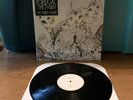 Portugal The Man - The Majestic Majesty Vinyl LP
