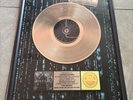 Matrix Record Awarded to Warren Entner  RIAA