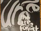 THE CURE A Forest (Tree Mix) In Between Days (Shiver Mix) French 12
