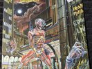 Iron Maiden Somewhere In Time Vinyl Record
