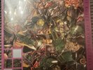 The Stone Roses So Young / Tell Me Raspberry 12