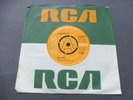 Fresh Maggots – Car Song c/w What Would You Do 1971 UK 45 RCA DEMO ACID FOLK