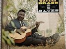 Muddy Waters Brass & The Blues - VG++ Vinyl LP - 1966 Chess MONO LP 1507 XCTV 12