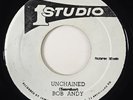 Bob Andy/Wailers 